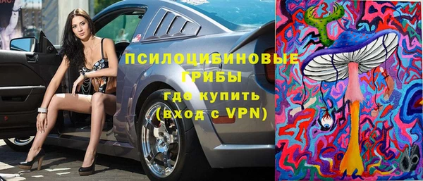 не бодяженный Арсеньев