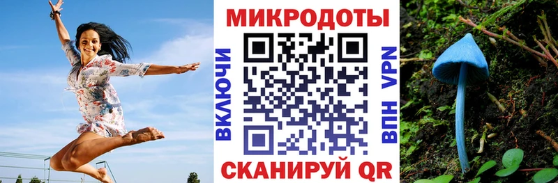 Псилоцибиновые грибы Cubensis маркетплейс Telegram Приозерск
